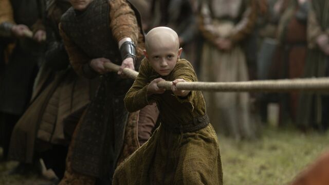 Aegon's Conquest: HBO Eyes Epic Series and Blockbuster Film